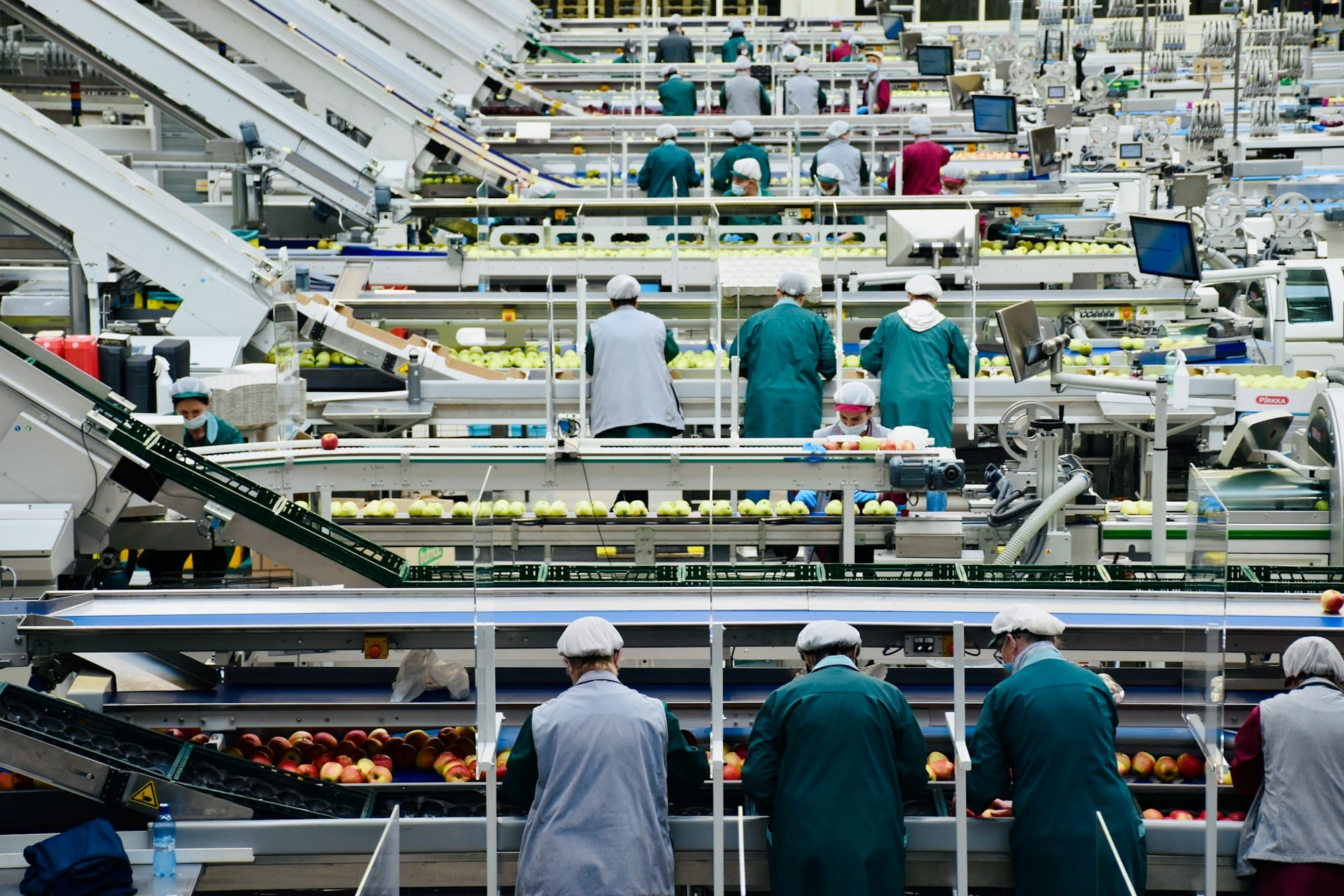 Workers in hairnets and work coats sorting apples on conveyor lines in a fruit packing plant