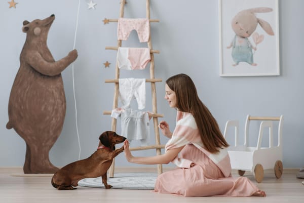 10 Fun Tricks to Teach Your Dog: Essential Cues for Training Puppies